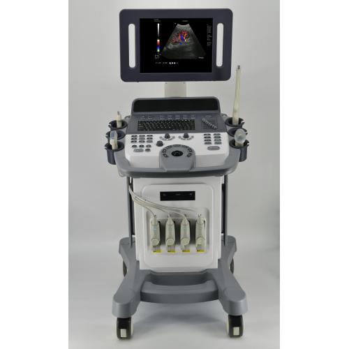 Veterinary Ultrasonic 4D Color Doppler Scan Trolley