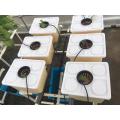 Evde dikim Dutch Bucket Hydroponics yetiştirme sistemi