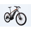 Customized 750 Watt Electric Bike