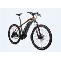 Customzied Electric Cruiser Bike