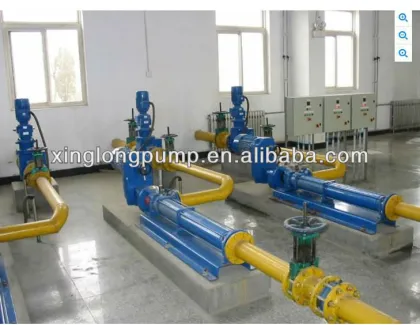 XingLong brand screw pump