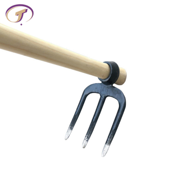 เครื่องมือรูปแบบส้อมในสวน: การขุดส้อมสำหรับการเกษตรกลางแจ้ง