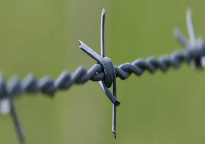 Galvanized barbed wire, steel wire, barbed rope