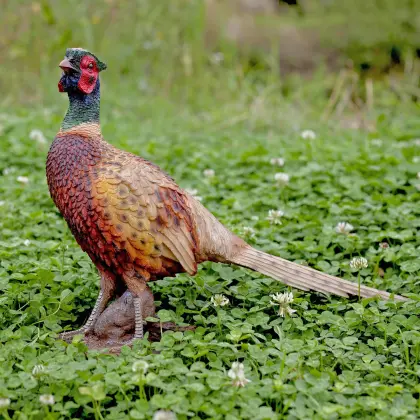 Custom Garden Decoration Sculpture Resin Pheasant Statue Animal