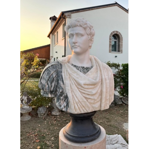 Exquisitely Sculpted Marble Classical Male Bust​