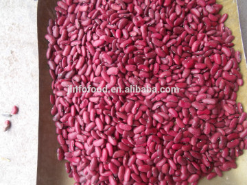 British Red Kidney Beans