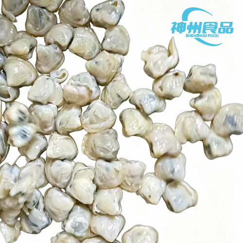 Vongole fresche raccolte a mano e carne congelata di alta qualità