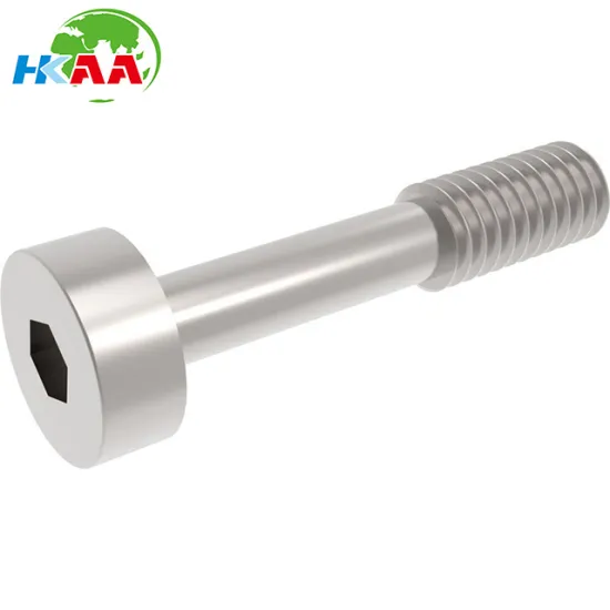 Custom 304 stainless steel Bolt thin Hex socket screw
