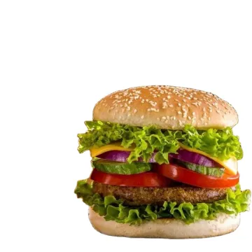 KFC Restaurant Burger Making Machine and Bun Toaster