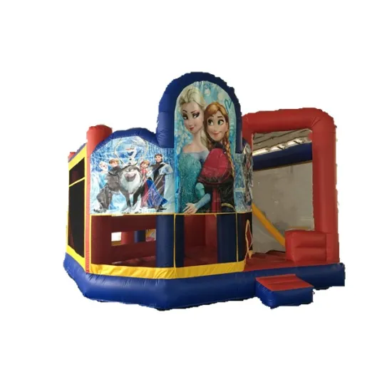 Outdoor Slide Combo: Commercial Bounce House Bouncer Castle for Sale