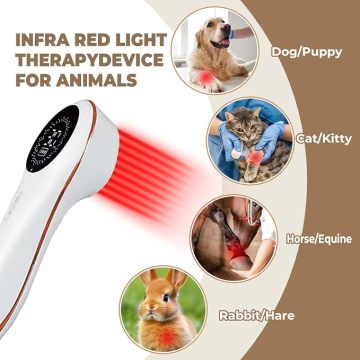 Portable Cold Laser Therapy for Dogs
