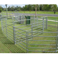 black color powder coated portable horse fence panel