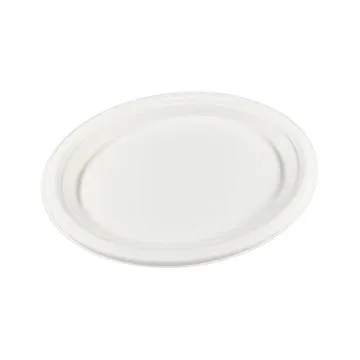 Disposable sugarcane bagasse pulp oval dinner plate