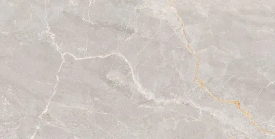 750*1500 Glossy Finishing Ceramic Porcelain tiles