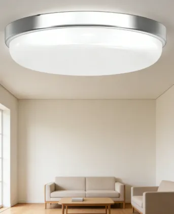LED Indoor Ceiling Light