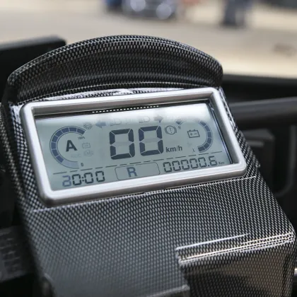 elderly support vehicle lien search