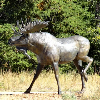 brass moose statue
