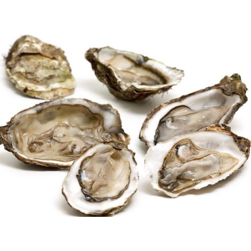 Natural Oyster Extract for Men Enhanced