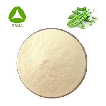 Vicia faba Protein Peptide σε σκόνη τιμή