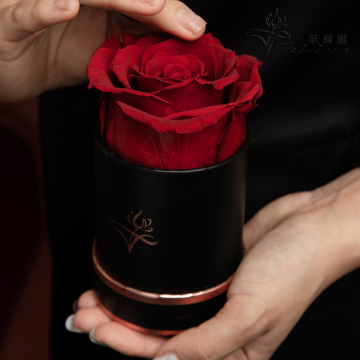 Hot Sales: Preserved Rose Gift Box - Flowers Last Up to One Year or More