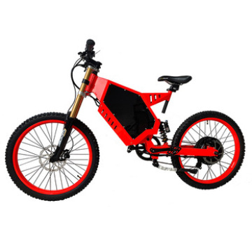 Custom Lithium Battery Power Electric Off-road Bicycle