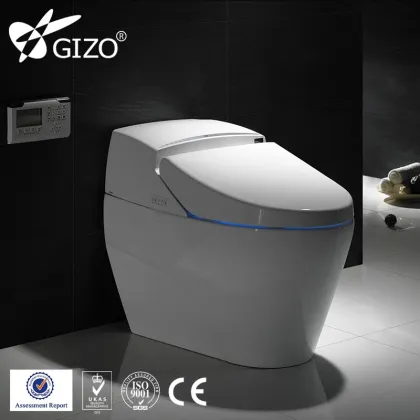 Smart bidet toilet, automatic flush sensor toilet