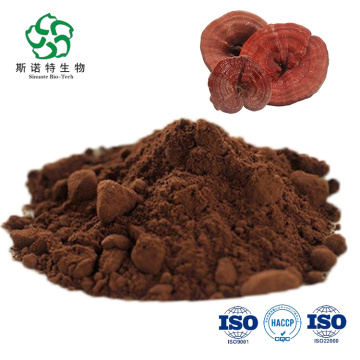 Reishi 버섯 가루 Lingzhi Ganoderma Lucidum 추출물