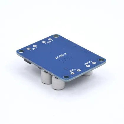 XH-M313 HD Digital Power Amplifier Board - TPA3118 60W Mono BTL DC 8-24V