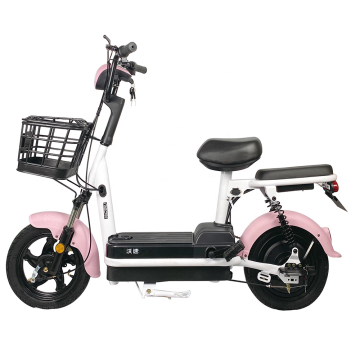 48V/12AH High Quality Cheap City Electric Bike for Sale - Can Be Raised