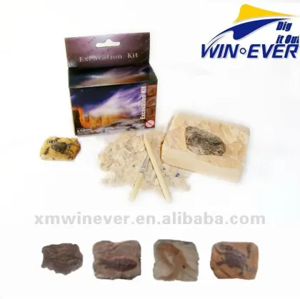 Ocean animal Fossil Excavation kit toy