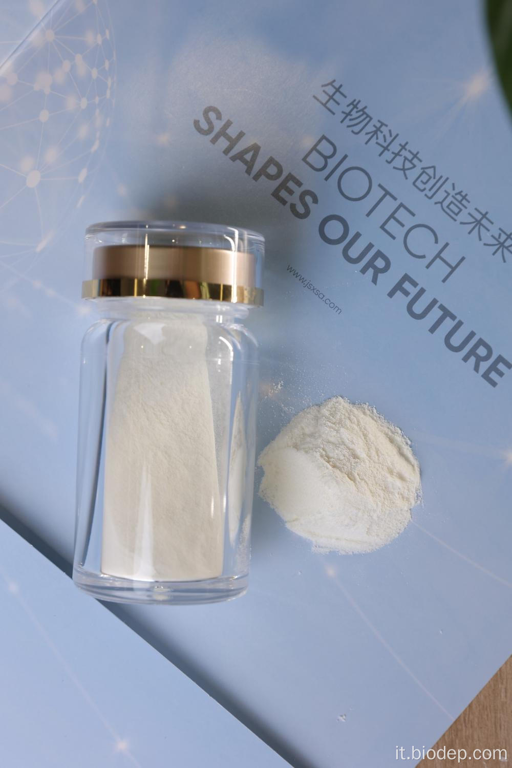 Lactobacillus plantarum più densità