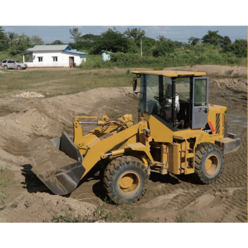 Loader de rodas pequenas fl920h com rápido