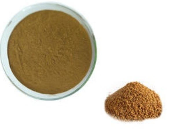 Fenugreek Png