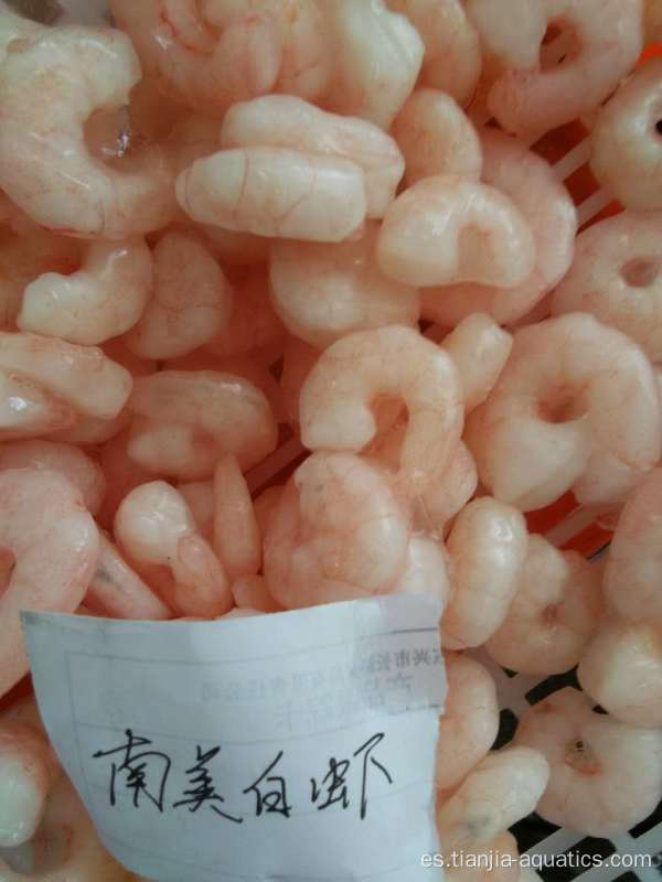 Camarones Vannamei congelados PTO