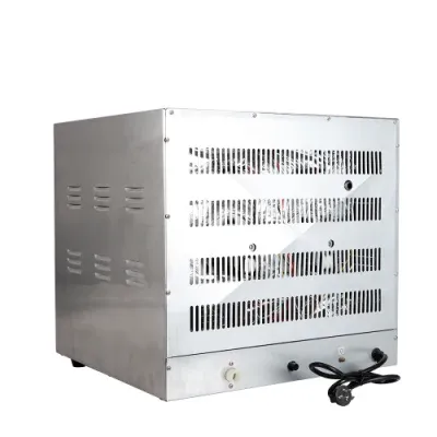Professional Electric Commercial Perspective Convection Oven