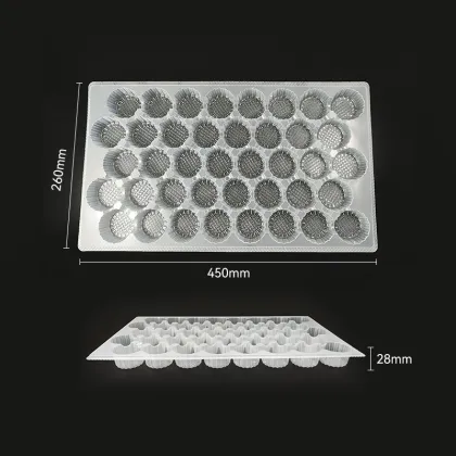 Lattice Disposable Food Grade PP Plastic Lock Fresh Boxes for Breakfast, Dessert, Pumpkin Pie, and Qingtuan