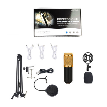 BM-800 Condenser Microphone - Made in China