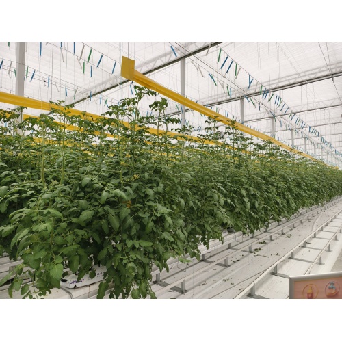 Sky Farm Greenhouse Structure
