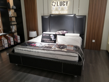 Nailhead Trim Genuine Leather Bed2020
