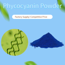 Blue Spirulina Organic Powder Phycocyanin