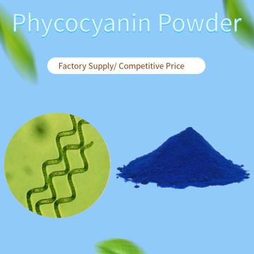 Kék spirulina szerves por fikocianin