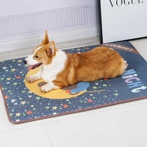 Durable Pet Cushion with Leak-Proof Design