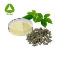 Gynostemma Pentaphyllum Extract 98% Gypenosides Powder