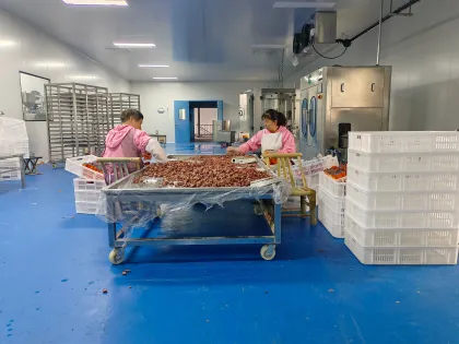 Delicious Cat Strips for Picky Eaters