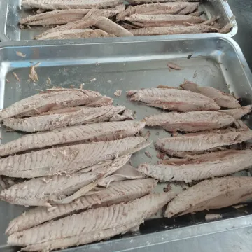 Frozen Precooked Longtail Tuna Lion