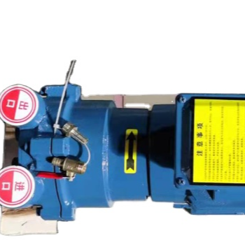 2BV Series 2BV2070 Single Stage Rotary Vane Vacuum Pump: A Comprehensive Guide and Search Engine