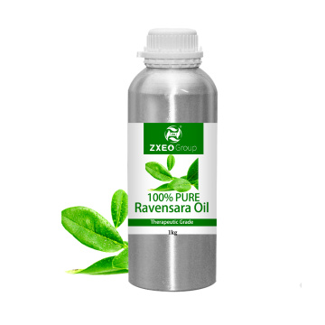 शीर्ष ग्रेड थोक थोक मूल्य 100 % उच्च गुणवत्ता वाले Ravensara आवश्यक तेल 100 % शुद्ध चिकित्सीय ग्रेड