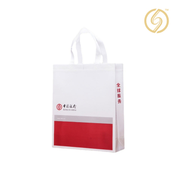 Advanced Laminated 3D Bag for Modern Use