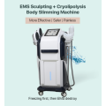 Advanced Esthetics Equipment EMS Sculpting Machineの販売