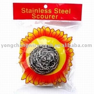 Stainless Steel Scourer